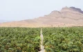 Morocco and Algeria are running short of water, but not at all in the same way