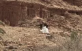 Morocco-Algeria Border: Shots Fired Near Ksar Ich, Should an Escalation Be Feared?
