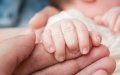 Morocco Approves 15-Day Paid Paternity Leave for Civil Servants