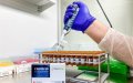 Morocco Approves Local Production of COVID-19 Test Kits, Aims for 1 Million Monthly Output
