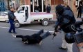 Morocco Arrests 21 Interpol-Wanted Mafia Members, Extradites 15