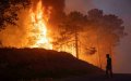 Morocco Arrests 4 Suspects in Deadly Forest Fire Near M'diq