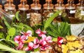 Morocco Bans Plant Imports to Combat Deadly Bacteria Threat