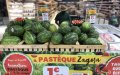 Morocco Bans Water-Intensive Melon Crops Amid Severe Drought