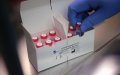 Morocco Boosts COVID-19 Testing Capacity with 200,000 Rapid Test Kits from South Korea