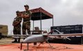 Morocco Boosts Defense Budget Amid Regional Arms Race with Algeria