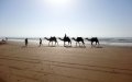 Morocco Braces for Heatwave as Temperatures Soar to 43°C (109°F)
