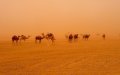 Morocco Braces for Intense Heatwave as Temperatures Set to Soar Above 45°C