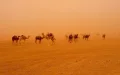 Morocco Braces for Intense Heatwave as Temperatures Soar to 46°C (115°F)
