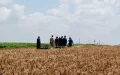 Morocco cleans up illegal land occupations