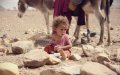 Morocco Climbs to 121st in UN Human Development Index, Trails Palestine