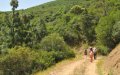 Morocco Closes Popular Nature Park as COVID-19 Cases Surge in Region