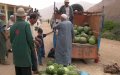 Morocco Considers Watermelon Ban Amid Water Scarcity Concerns