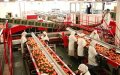 Morocco Curbs Tomato Exports as Domestic Prices Soar