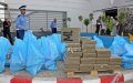 Morocco Customs Seizes 19 Tons of Cannabis, Sees Surge in Psychotropic Drug Seizures