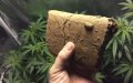 Morocco Denies Plans to Decriminalize Cannabis Cultivation, Despite Political Claims
