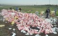 Morocco Destroys 20 Tons of Cannabis, Millions of Cigarettes in Major Drug Bust