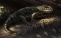 In Morocco, a discovery 168 million years old surprises scientists