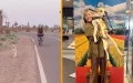 Morocco Dog Rescue: Stray Follows Tourists 80 Kilometers to a New UK Home