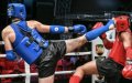 Morocco Dominates Arab Muay-Thai Championship with Four Gold Medals