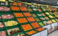 Morocco Dominates Spain's Fresh Produce Imports by Value