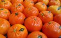 Morocco Dominates Spain's Fruit and Vegetable Imports, Exports Rise 4% in Q1
