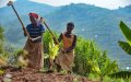 Morocco Donates 15,000 Tons of Fertilizer to Rwanda Amid Global Price Surge