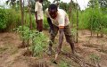 Morocco Donates 25,000 Tons of Fertilizer to Senegal Amid Global Price Surge