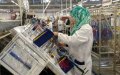 Morocco Doubles Budget Positions to Boost Youth Employment in 2021