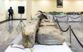 Morocco Drug Scandal: Law Enforcement Officers Accused of Aiding Traffickers in Northern Region