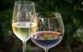 Morocco Emerges as Africa's Second-Largest Wine Producer