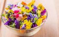 Morocco Emerges as Key Rival to France in Growing Edible Flower Market