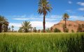 Morocco Emerges as Top Travel Destination for 2020, Boosted by Cultural Investments