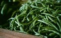 Morocco Emerges as World's Second-Largest Green Bean Producer, Yield Tops 200,000 Tons