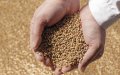 Morocco Expands Cereal Imports to 25 Countries Amid Global Supply Concerns