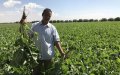 Morocco Expands Seawater Desalination to Boost Agricultural Irrigation