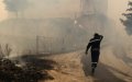 Morocco Expresses Condolences as Deadly Forest Fires Ravage Northern Algeria