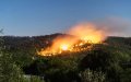Morocco Extinguishes Forest Fires in Chichaoua and Fnideq Regions