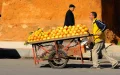 Morocco food prices June 2026: vegetables down, fish up