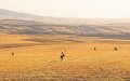 Morocco Forecast: Light Rain and Temperature Rise Expected Across Regions