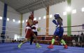 Morocco and France Set for High-Stakes Boxing Showdown in Salé