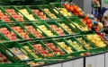 Morocco Fresh Produce Spain Market Leader Value