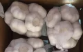 Morocco Garlic Crisis: European Imports Threaten Local Producers