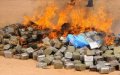 Morocco Incinerates 8 Tons of Seized Drugs in Tangier Anti-Trafficking Operation