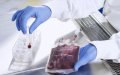 Morocco to Launch Africa's First Global Stem Cell Center