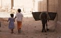 Morocco to Launch Monthly Cash Aid Program for Low-Income Families