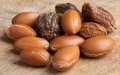 Morocco Launches 100-Hectare Argan Tree Planting Project in Souss-Massa Region