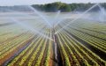 Morocco Launches Agricultural Mapping to Combat Urban Sprawl