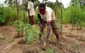 Morocco Leads African Food Security Efforts at Nairobi Summit