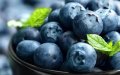 Morocco Leads Russian Blueberry Market, Exports Surge 36% Despite Pandemic